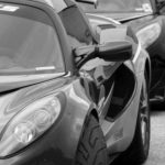 varano_13_head