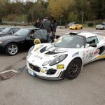 varano_2013_7