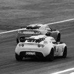 varano_15_head