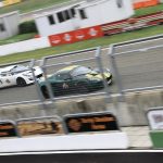 varano_2015_9228